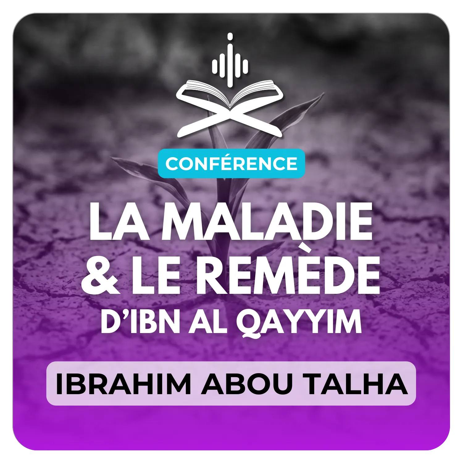 « La maladie et le remède » de l'imam Ibn Al Qayyim