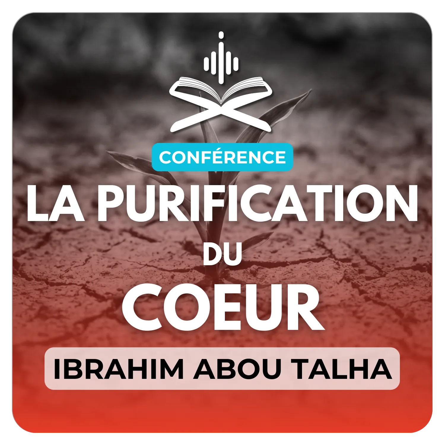 La purification du coeur