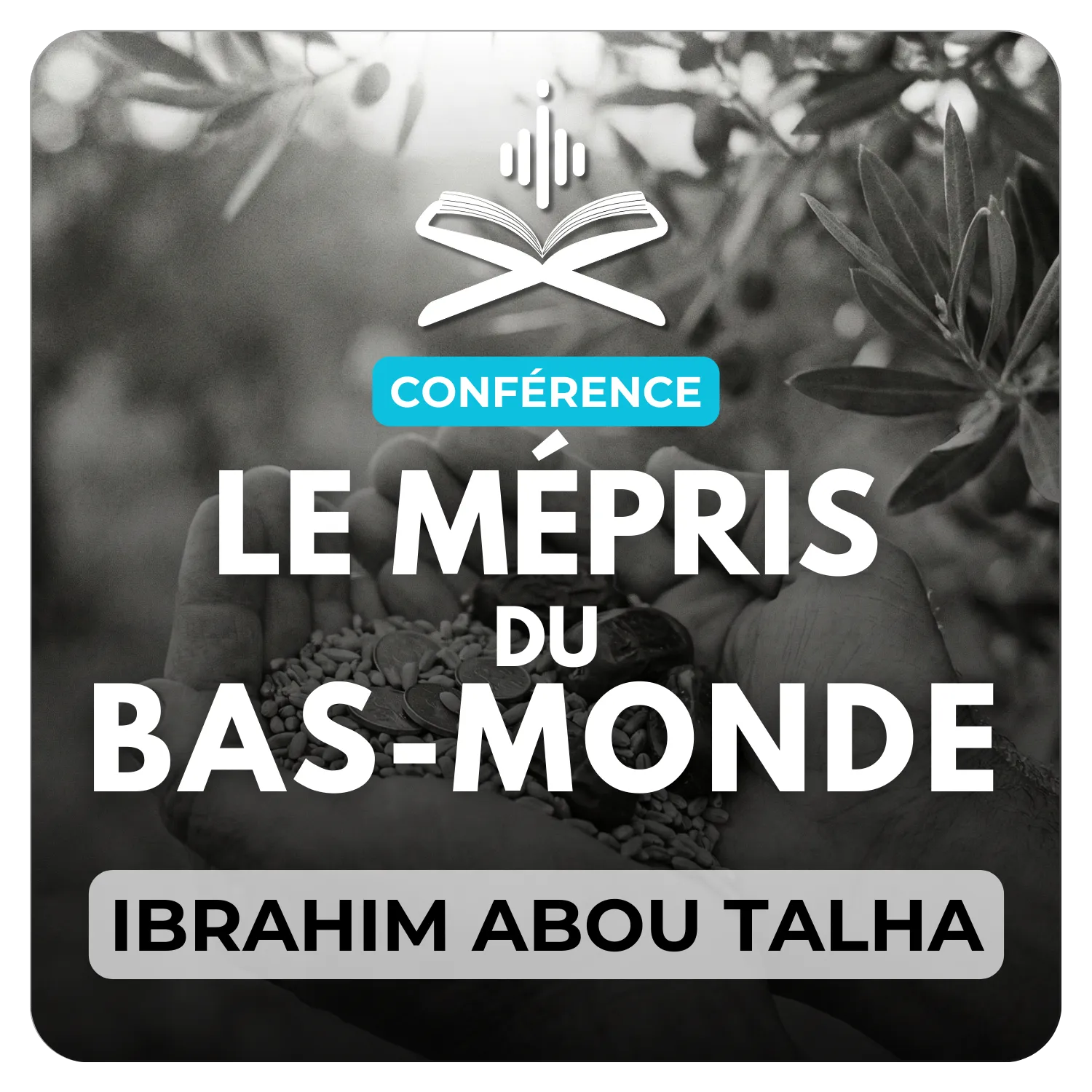 Le mépris du bas monde