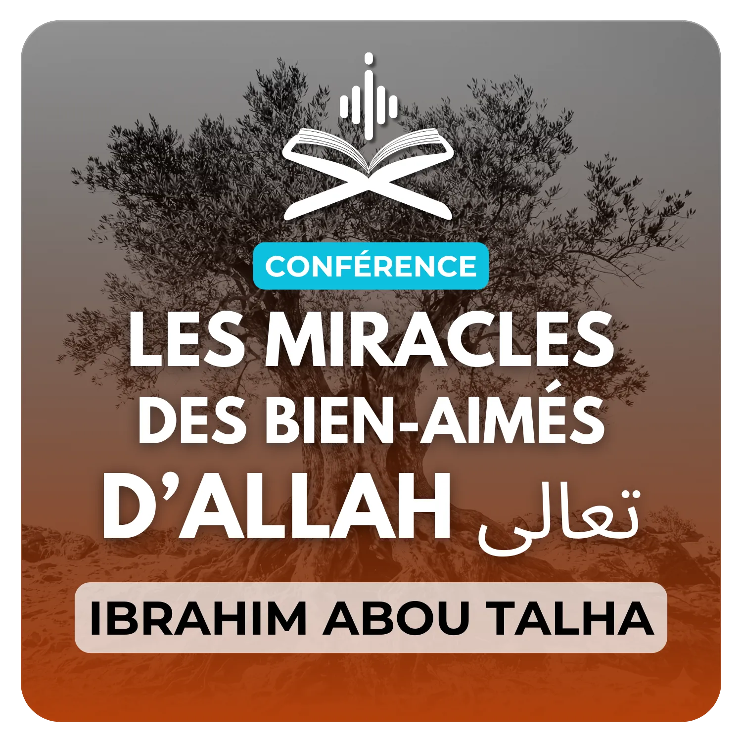 Les miracles des bien-aimés et rapprochés d’Allah تعالى