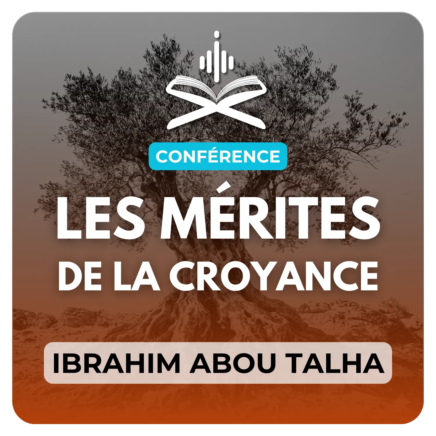 Les mérites de la croyance