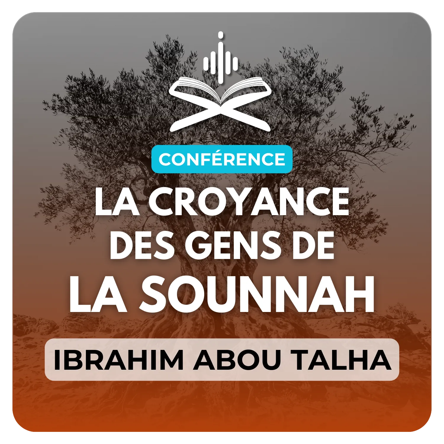 La croyance des gens de la sunnah et du groupe sauvé