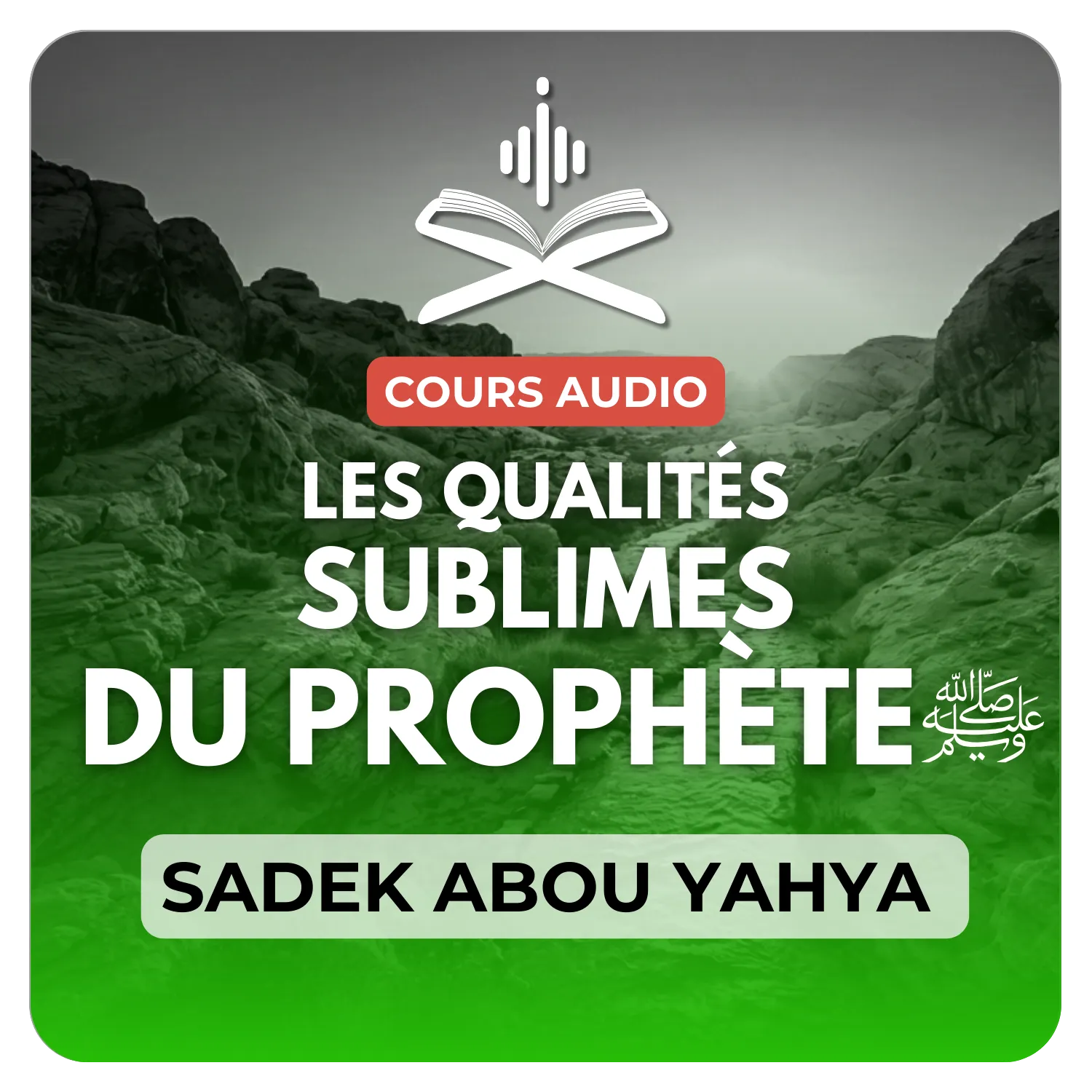 Les qualités sublimes du Prophète ﷺ