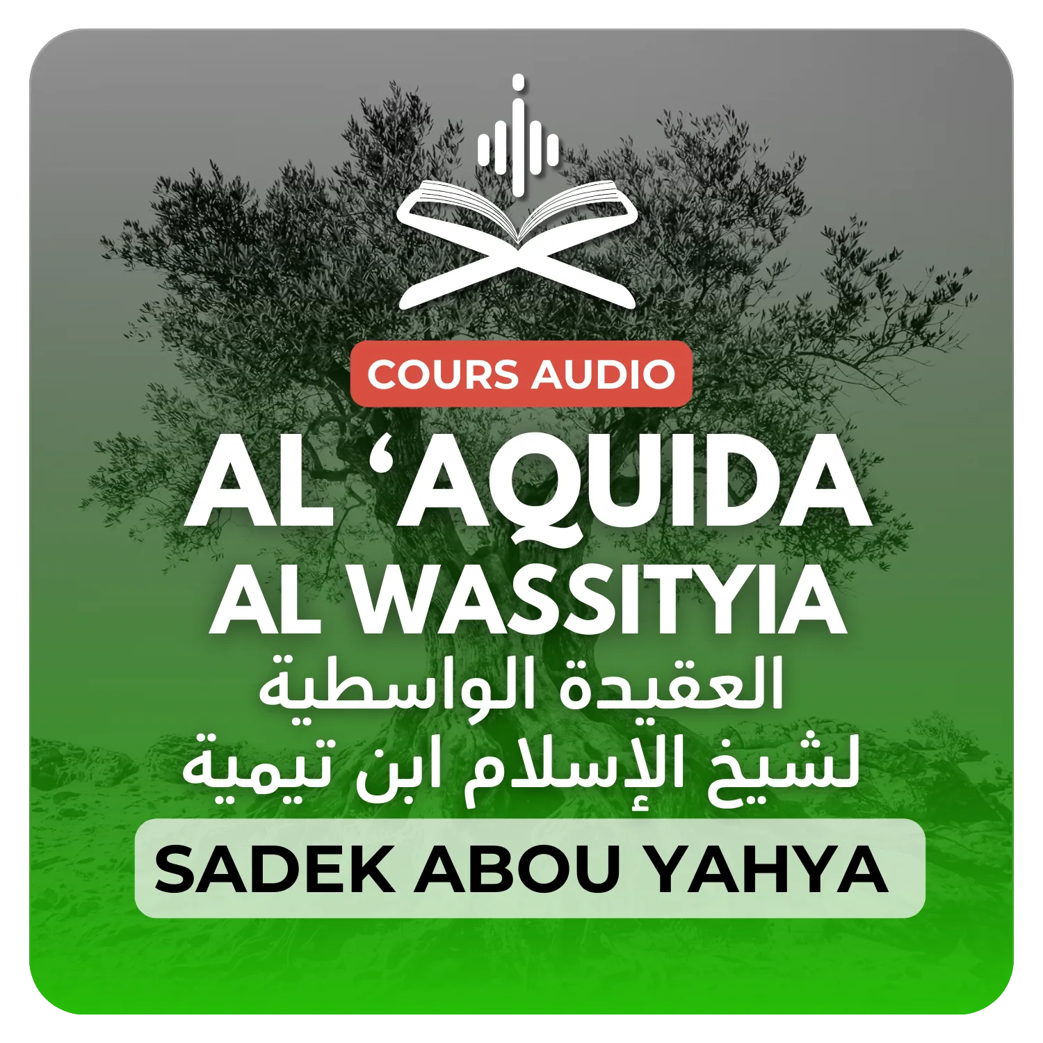 Al ‘aquida Al Wassityia de cheikh al islam ibn Taymiyyah