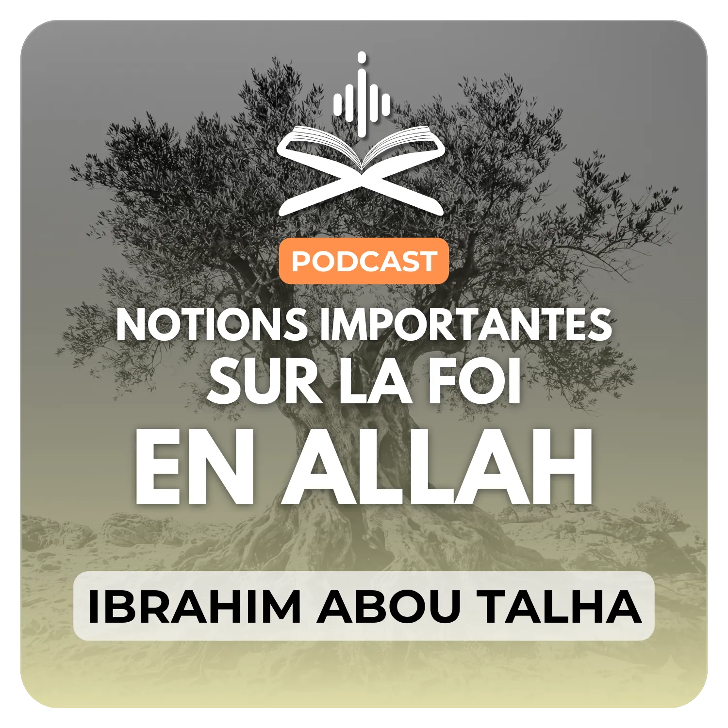 Notions importantes sur la foi en ALLAH