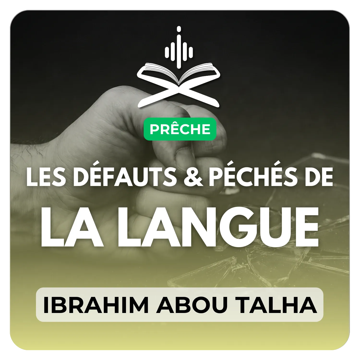 Les défauts et péchés de la langue