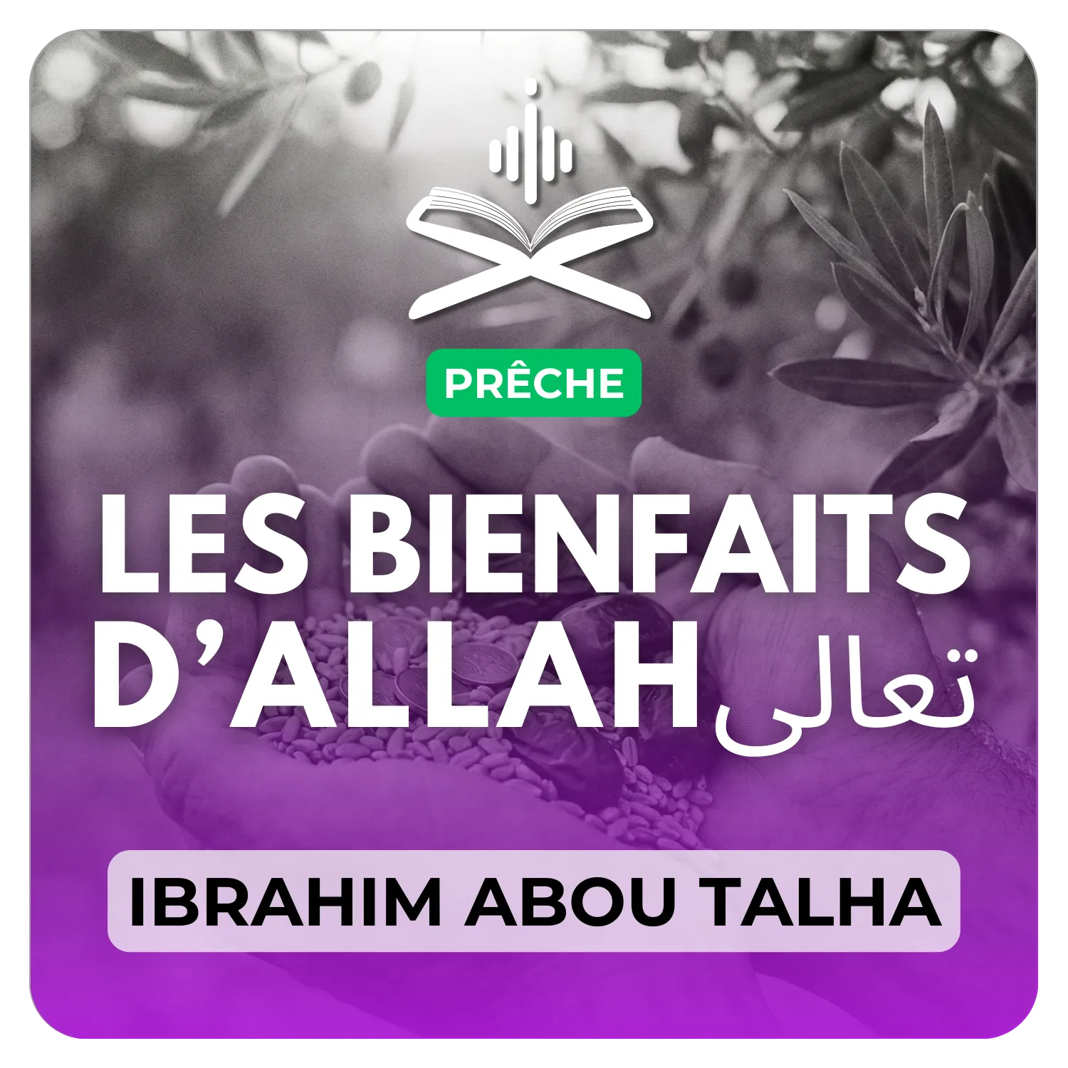 Les bienfaits d’Allah تعالى
