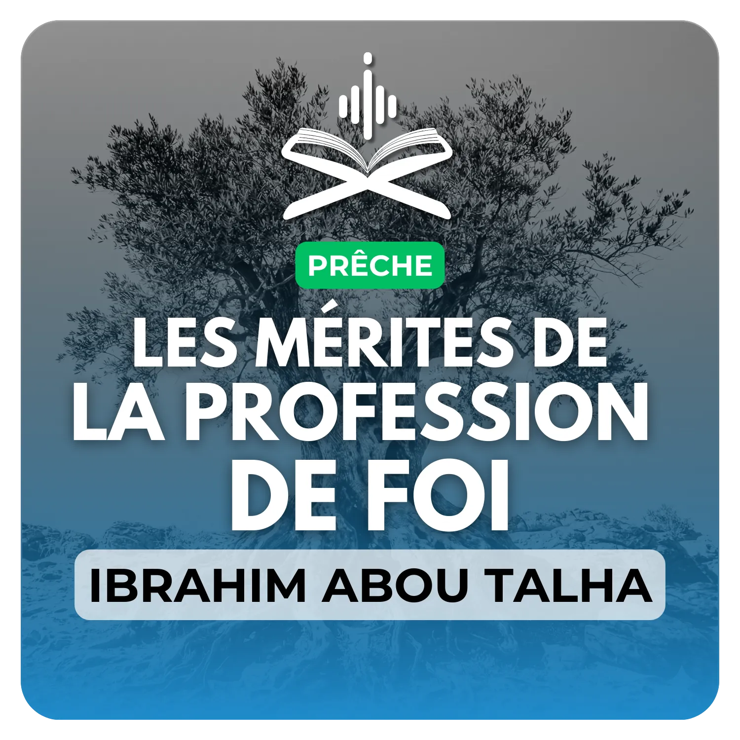 Les mérites de la profession de foi