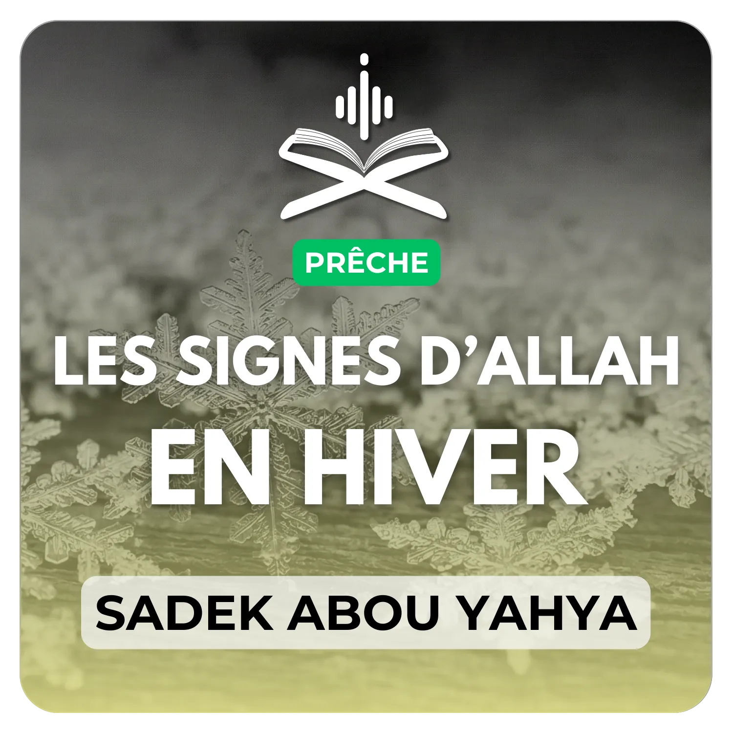 Les signes d’Allah تعالى en hiver