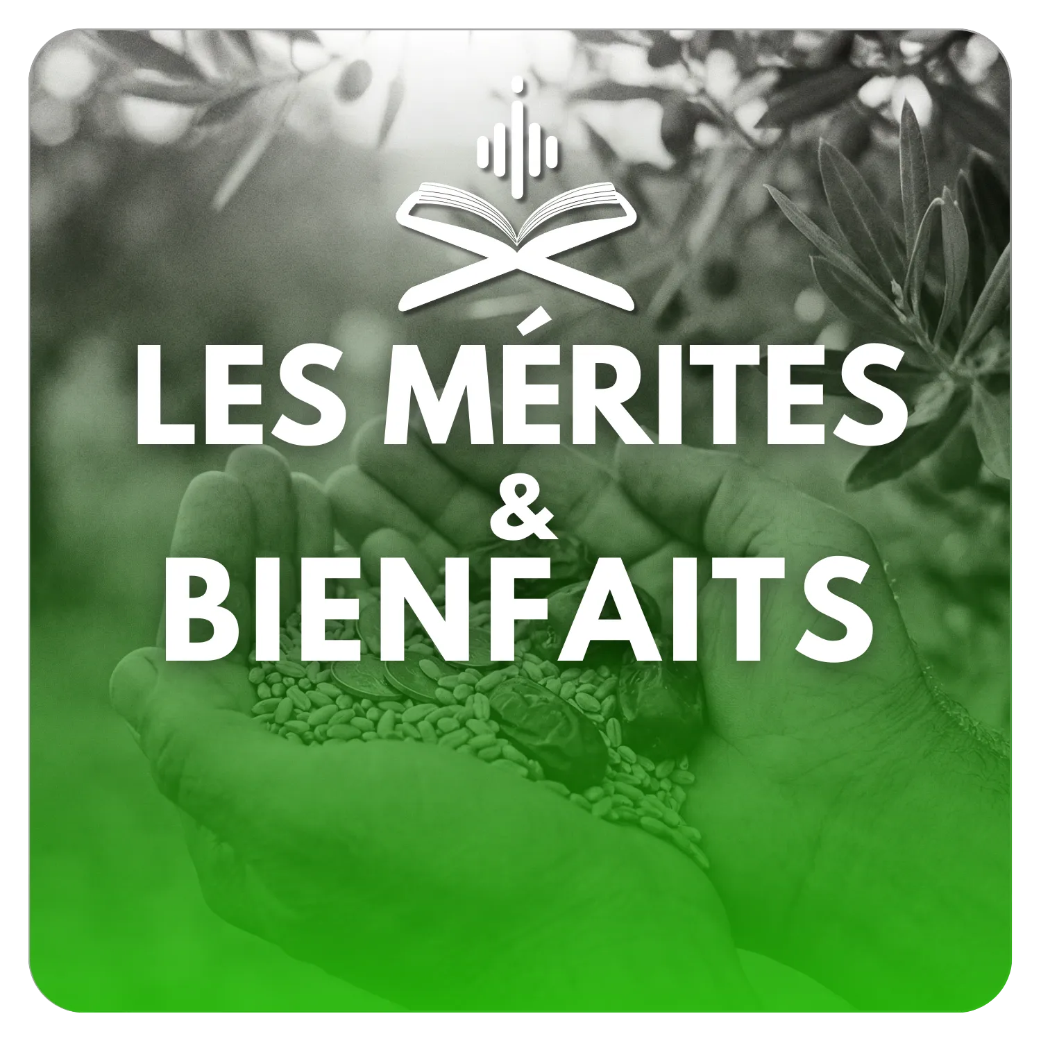 Bienfaits & Mérites